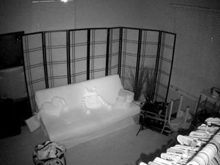 voyeurcam-lexiluna-01