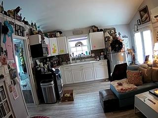 voyeurcam-bridgetleewalters-01